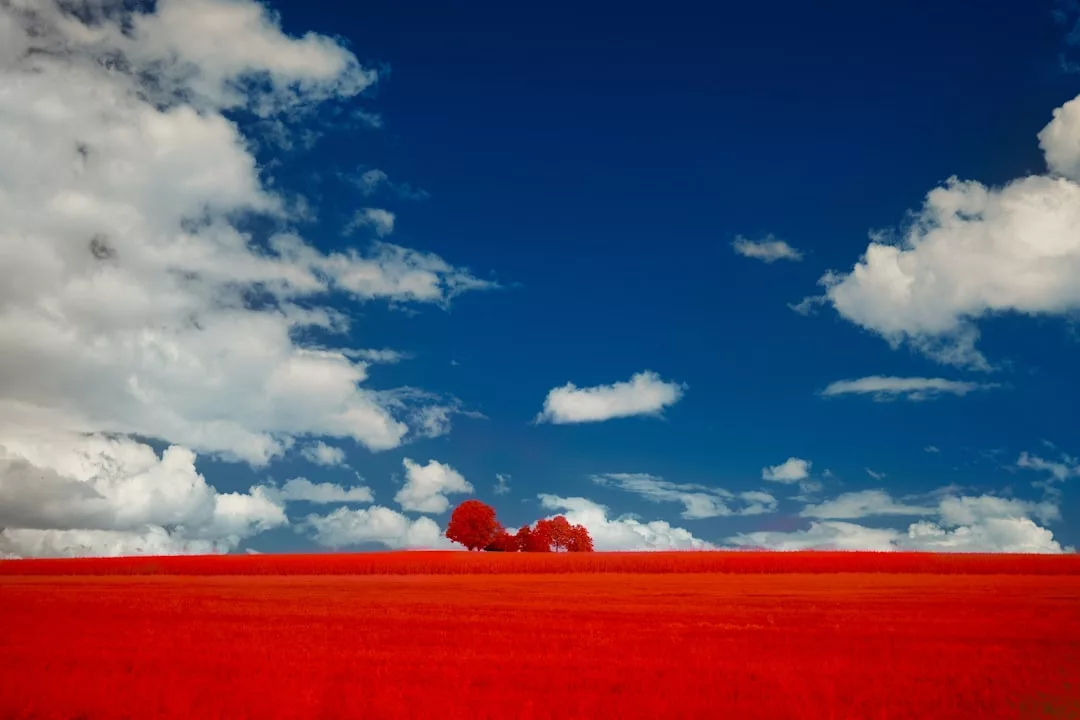 A vivid landscape with a red field, a few red trees in the distance, and a deep blue sky with scattered white clouds—an inspiring view ideal for unique real estate opportunities.