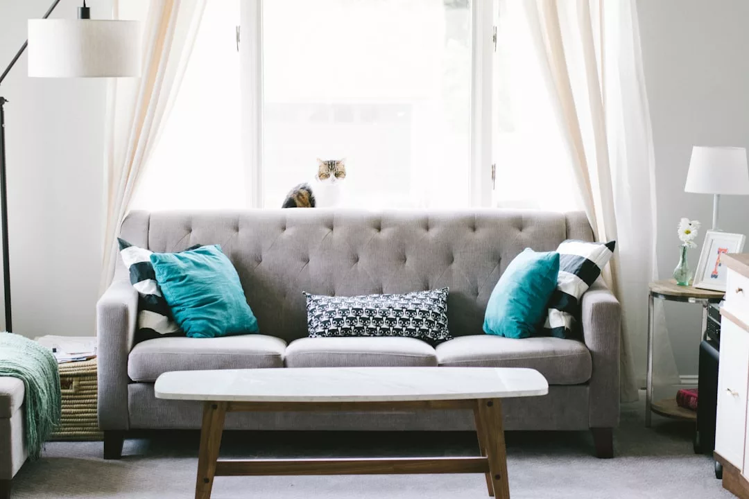 A gray sofa with blue and black pillows sits in front of a large window with sheer curtains; perfect for real estate photos, a cat is perched on the windowsill behind the sofa.