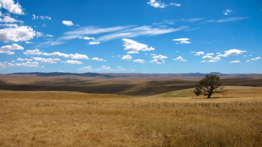 A vast, dry grassland stretches to the horizon under a blue sky with scattered clouds—a prime real estate opportunity. A single tree stands alone on the right side of the landscape.