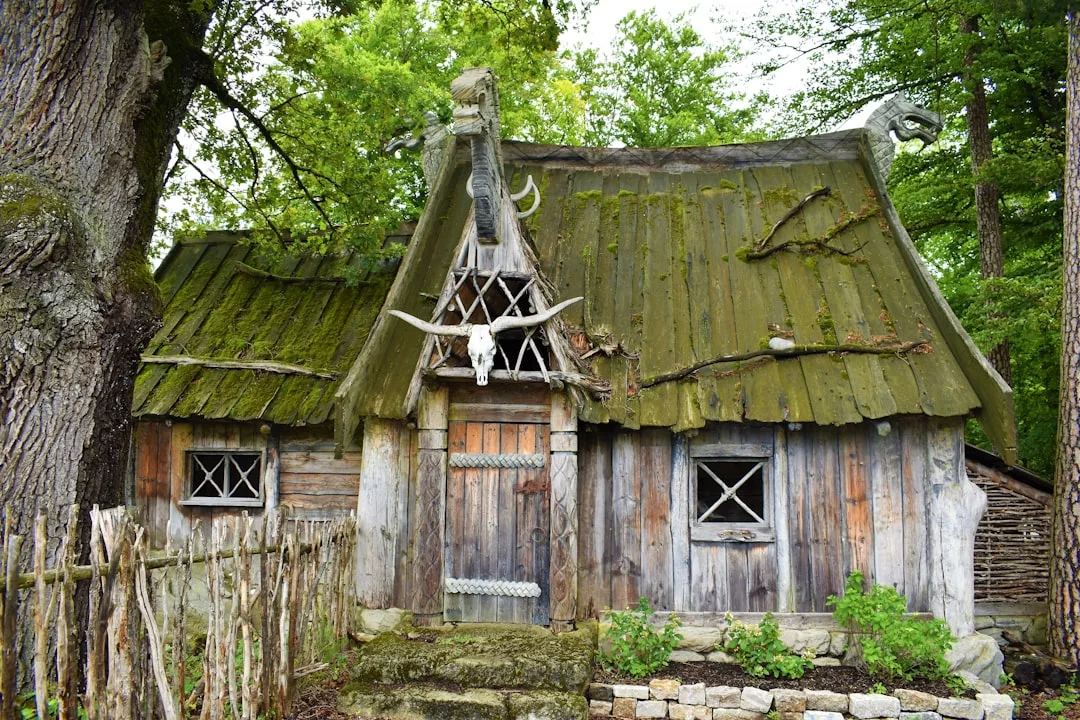 A rustic wooden cabin, perfect for real estate seekers, with a moss-covered roof and animal skulls decor, stands among trees behind a wooden fence.