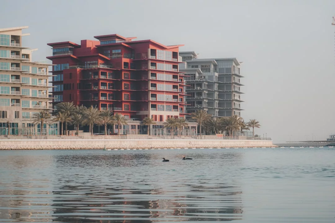 Modern waterfront real estate apartment buildings with palm trees line the promenade; two birds glide across the calm water in the foreground.