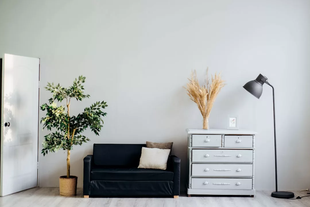 A minimalist living room perfect for real estate photos, featuring a black sofa, two cushions, potted plant, white dresser with decor, floor lamp, and light gray walls.