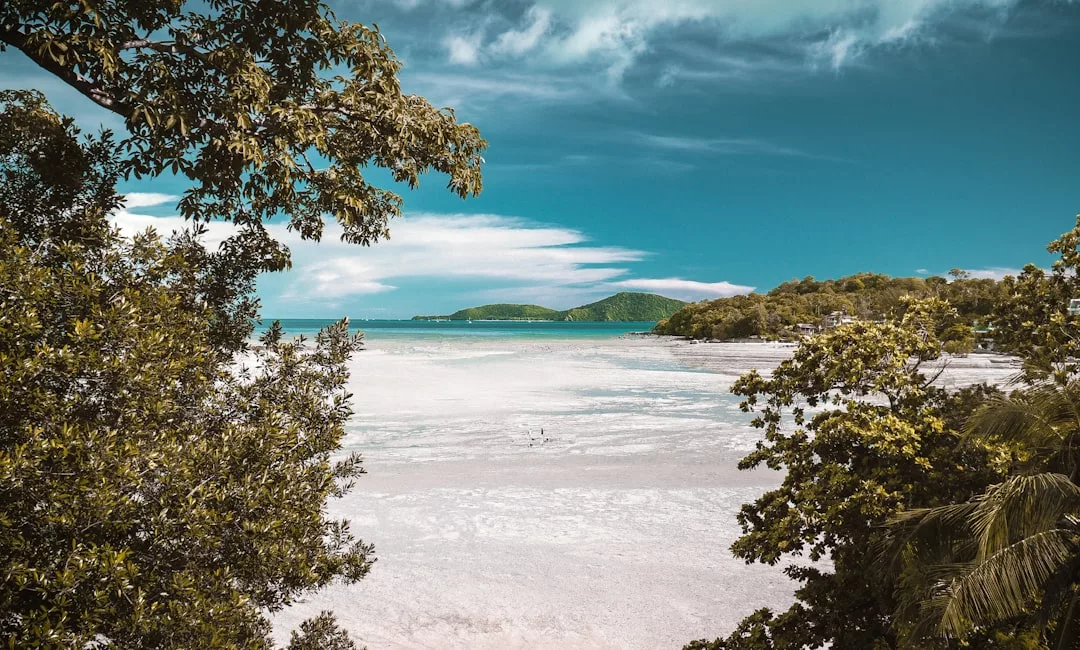 Trees frame a scenic view of a sandy shoreline and shallow water, with distant green islands under a blue sky—an inviting setting perfect for real estate seekers dreaming of tranquil waterfront living.