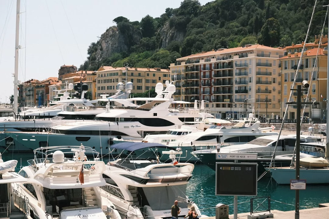 Several yachts are docked in a marina with multi-story real estate developments and a tree-covered hill in the background under daylight.