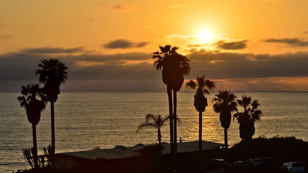 Silhouetted palm trees stand by the ocean at sunset, creating a tranquil scene perfect for real estate photos, with the sun low in the sky and scattered clouds aglow in orange and yellow light.