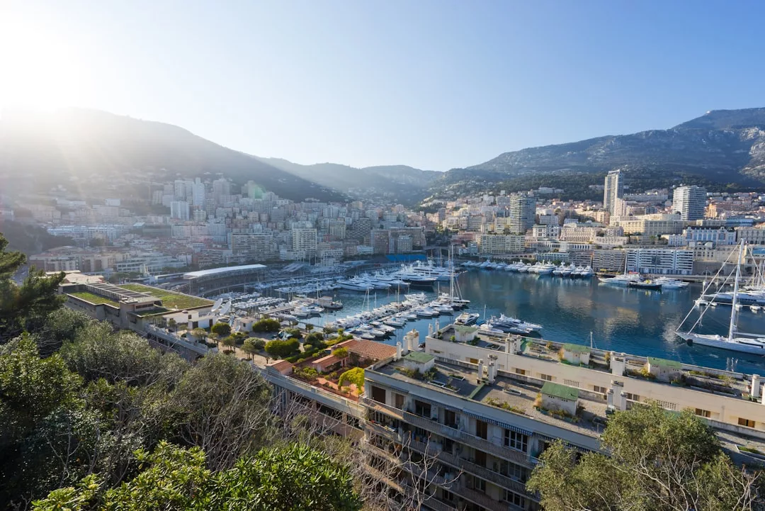 A coastal city marina with numerous yachts, modern buildings, and hills in the background under a clear sky—an ideal setting for premium real estate opportunities.
