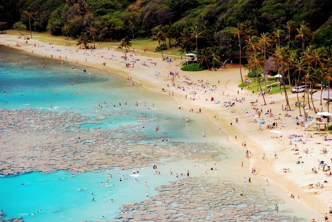 Aerial view of a sandy beach with people swimming and relaxing near turquoise water and coral reefs, bordered by palm trees, greenery, and luxury real estate nestled along the shoreline.