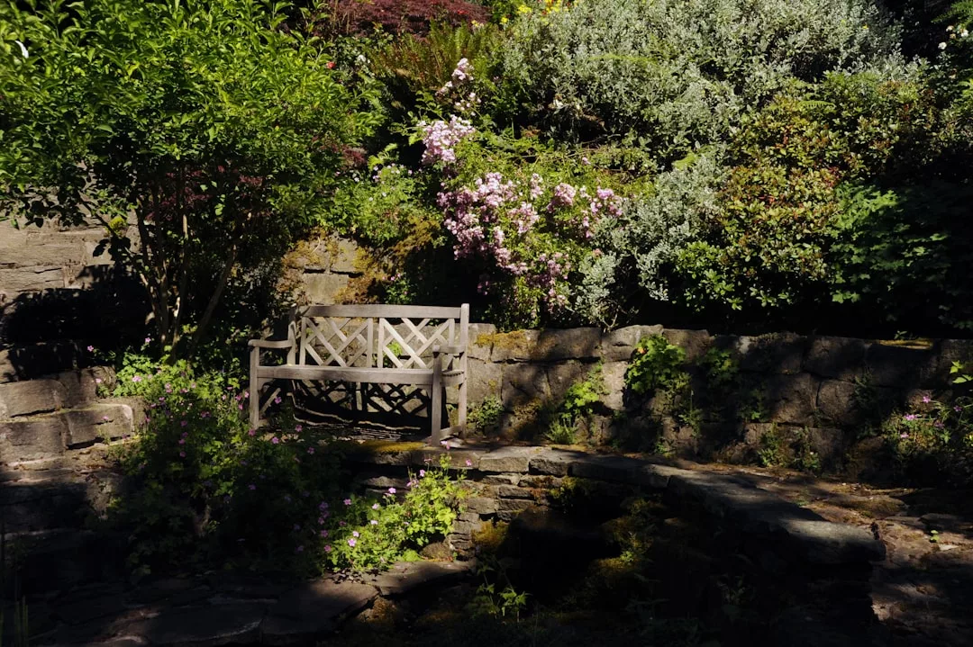A wooden bench is placed against a stone wall, surrounded by lush green plants and flowering bushes in a sunlit garden, creating inviting outdoor living perfect for real estate appeal.