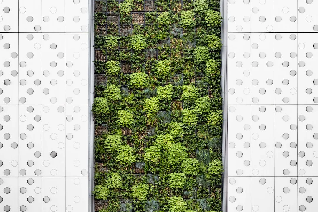 A vertical garden with various green plants is set in the middle of a white wall covered with circular patterns, bringing a fresh touch of nature to this modern real estate space.