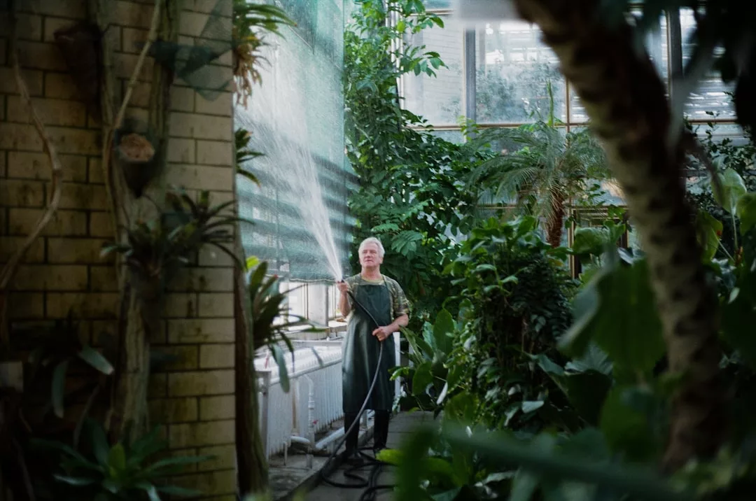 A person stands in a greenhouse, surrounded by dense greenery and natural light streaming in, watering plants with a hose—a perfect real estate feature for garden enthusiasts.