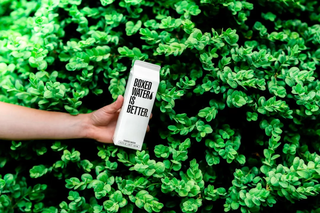 A hand holds a carton labeled "Boxed Water Is Better" against a backdrop of dense green leafy plants, capturing a fresh perspective on real estate and sustainable living.